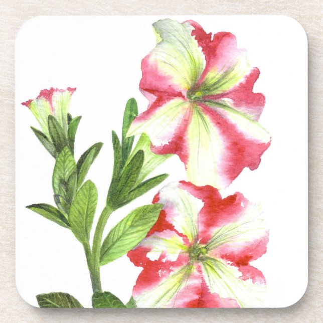 Pink and White Petunias Floral Art Drink Coaster (Front)