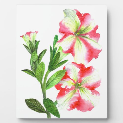 Pink and White Petunias Floral Art Plaque