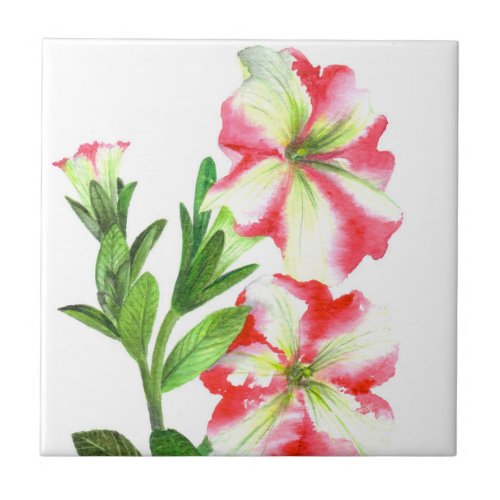 Pink and White Petunias Floral Art Tile