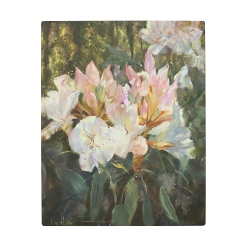 Pink and White Rhododendron Deep Green Foliage Metal Print