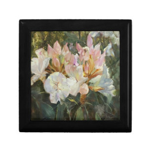 Pink and White Rhododendrons Deep Green Foliage Gift Box