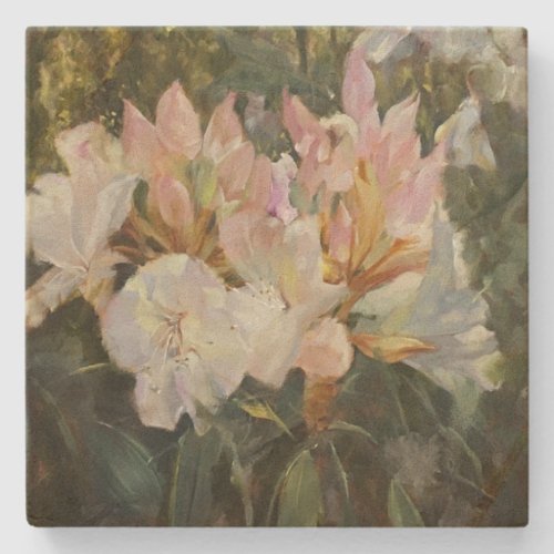 Pink and White Rhododendrons Deep Green Foliage Stone Coaster