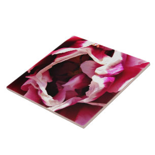 Pink and White Rose Ceramic Tile