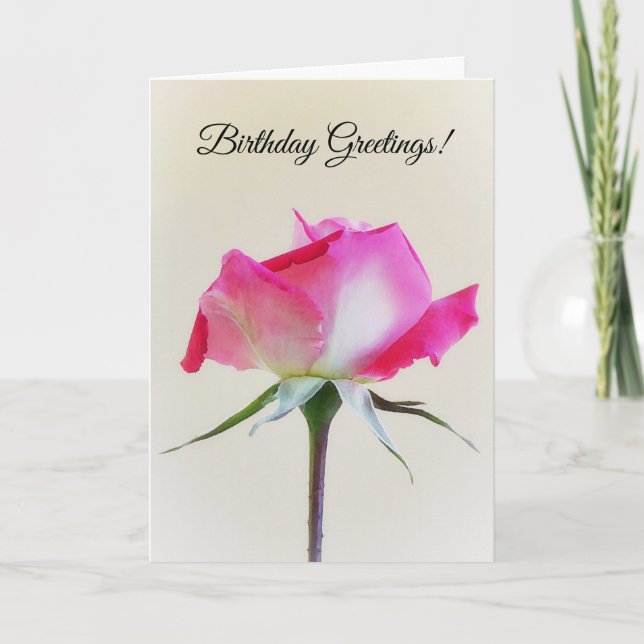 Pink and White Rose Flower Birthday Card (Front)