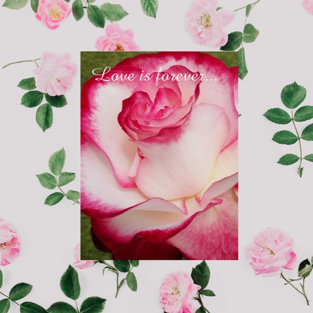 Pink and White Rose Personalized Marriage Proposal Card (In Situ)