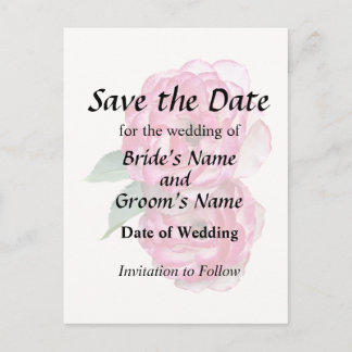 Pink and White Roses Announcement Postcard