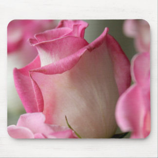 Pink and White Roses Mouse Pad