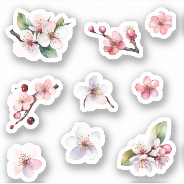 Pink and White Sakura Cherry Blossoms Flowers Pack Sticker (Front)