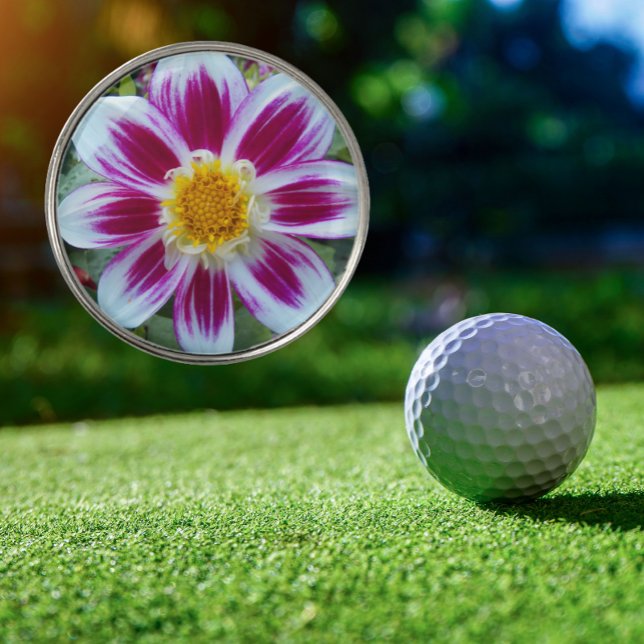 Pink and White Single Dahlia Floral Golf Ball Marker (In Situ)