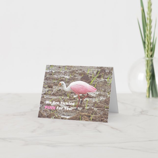 PINK AND WHITE SPOONBILL/TICKLED PINK FOR YOU/CONG CARD (Front)