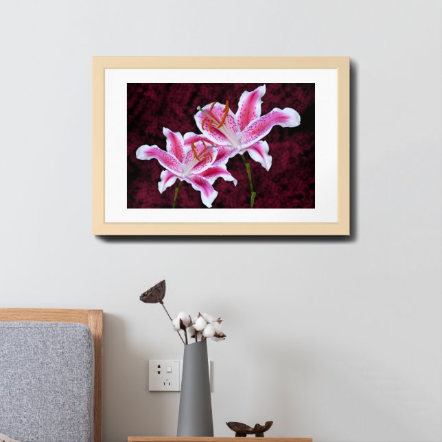 Pink and White Stargazer Lily Close Up Photograph Framed Art (Bedside)