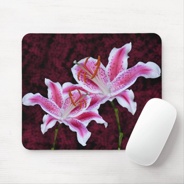 Pink and White Stargazer Lily Close Up Photograph Mouse Pad (With Mouse)