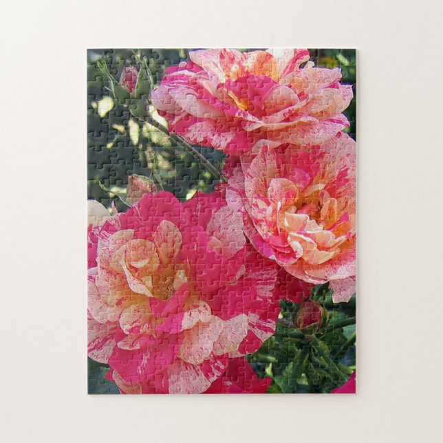 Pink and White Striped Roses Floral Art Jigsaw Puzzle (Vertical)