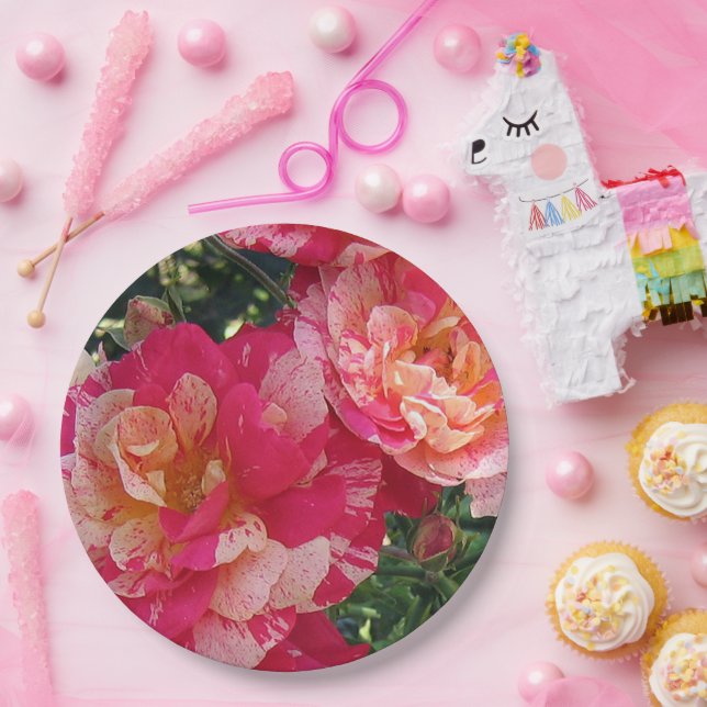 Pink and White Striped Roses Floral Art Paper Plates (Party)