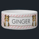Pink and White Stripes | Sheltie Personalized Pet  Bowl<br><div class="desc">This pet bowl has a background of pink and white diagonal stripes. There is a banner with a sheltie on either side and a place for you to personalize with your pet's name. The perfect compliment to your Parisian or shabby chic decor.</div>