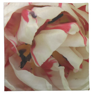 Pink and White Tulip Napkin