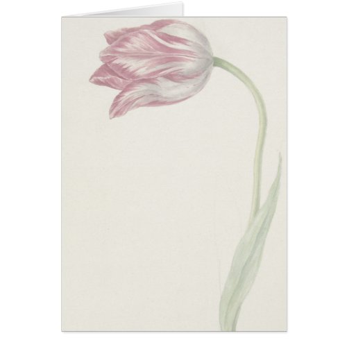 Pink and White Tulip _ Vintage Fine Art Card