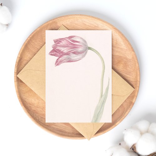 Pink and White Tulip _  Vintage Fine Art Postcard