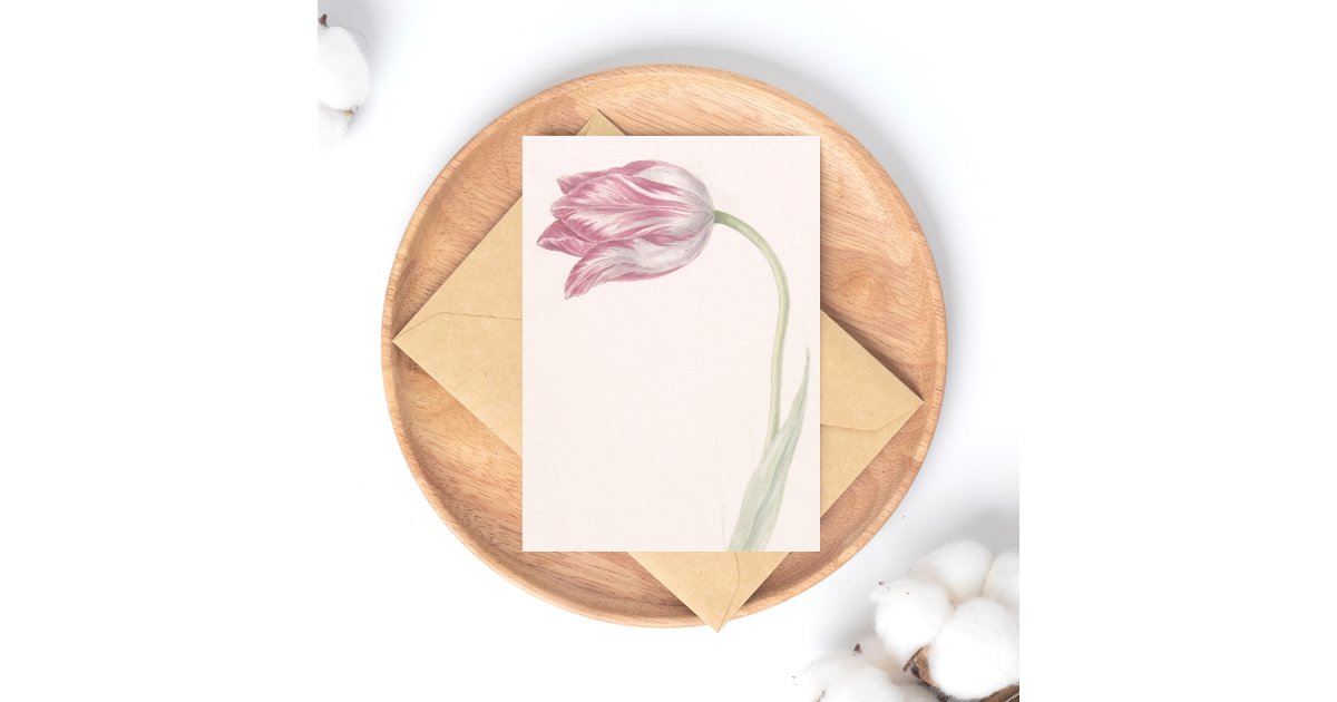 Pink and White Tulip - Vintage Fine Art Postcard | Zazzle