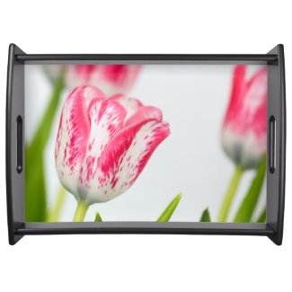Pink and White Tulips Food Tray