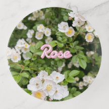 Pink and White Wild Roses on Green Custom Name