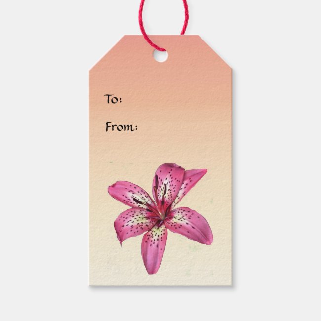 Pink and Yellow Asiatic Lily Gift Tags
