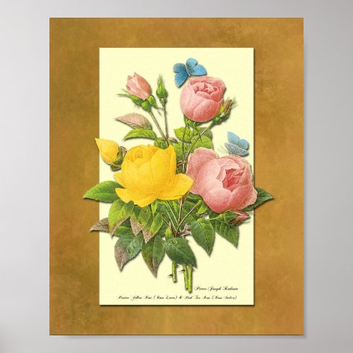 Pink and Yellow Botanical Roses Faux Parchment Art Poster