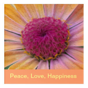 Pink and Yellow Dahlia Flower Acrylic Wall Art
