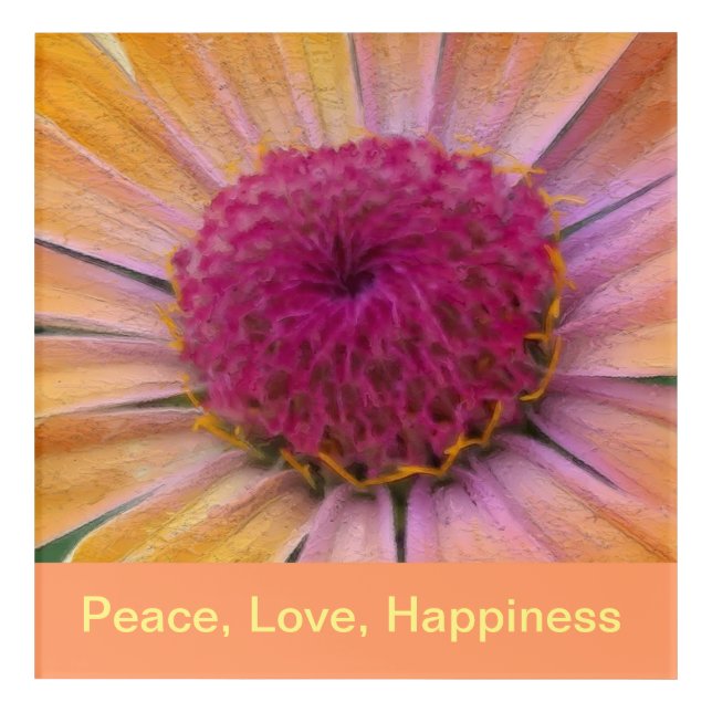 Pink and Yellow Dahlia Flower Acrylic Wall Art (Front)