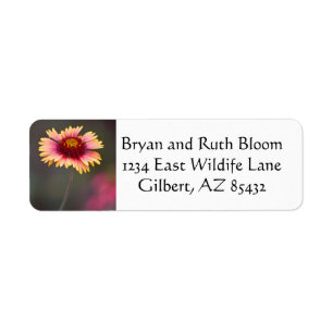 Pink and Yellow Desert Daisy Label