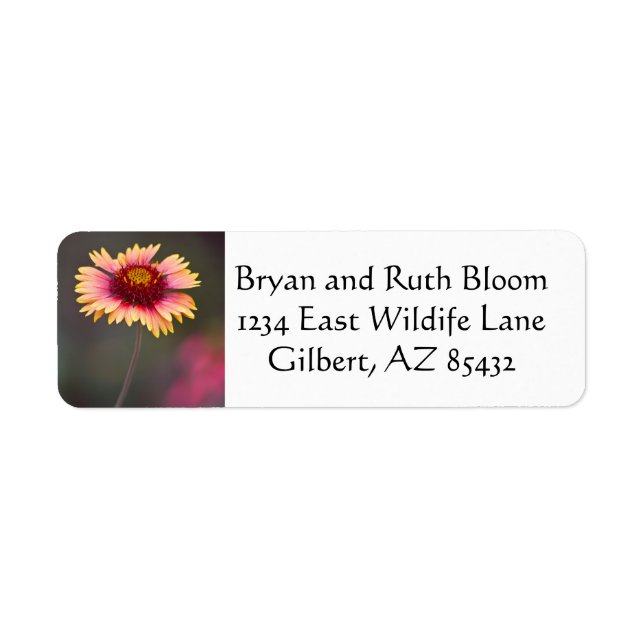 Pink and Yellow Desert Daisy Label (Front)