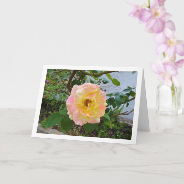 Pink and Yellow Floral Rose Card (Orchid)