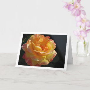 Pink and Yellow Floral Rose Card