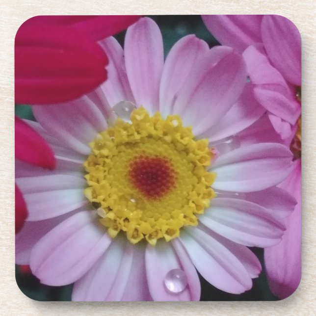 Pink and yellow flower beverage coaster (Front)