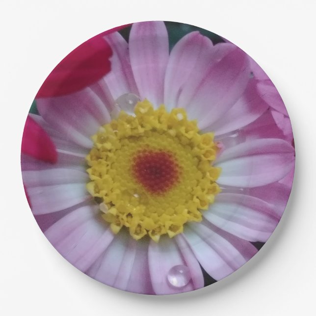 Pink and yellow flower paper plates (Front)