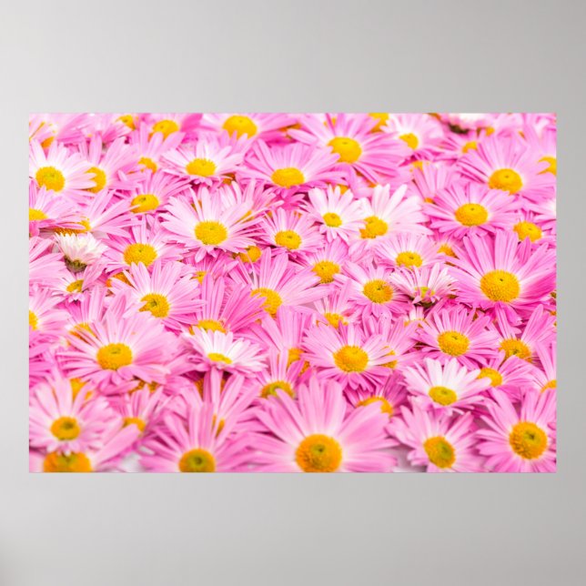 Pink and yellow flowers background  poster (Front)