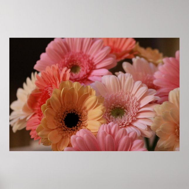 PINK AND YELLOW FLOWERS IN CLOSE UP PHOTOGRAPHY POSTER (Front)