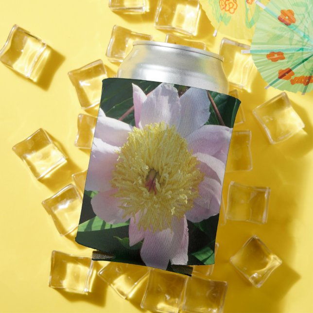 Pink and Yellow Peonies Beautiful Floral Can Cooler (In Situ Summer)