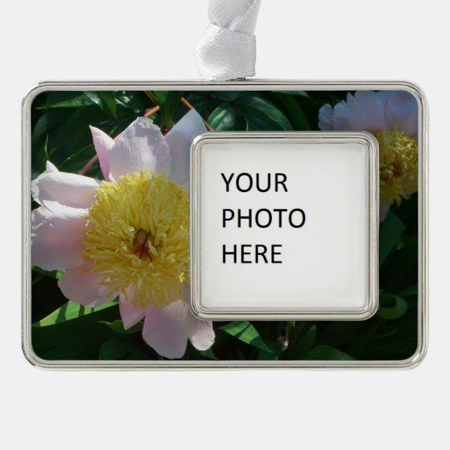 Pink and Yellow Peonies Beautiful Floral Christmas Ornament (Front)