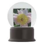Pink and Yellow Peonies Beautiful Floral Garden Snow Globe