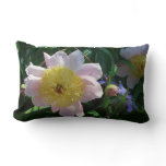 Pink and Yellow Peonies Beautiful Floral Lumbar Pillow