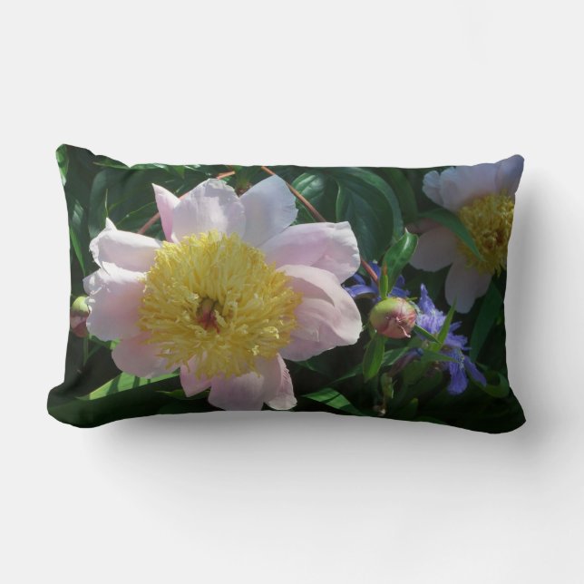 Pink and Yellow Peonies Beautiful Floral Lumbar Pillow (Front)