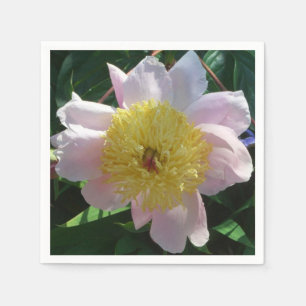 Pink and Yellow Peonies Beautiful Floral Napkins