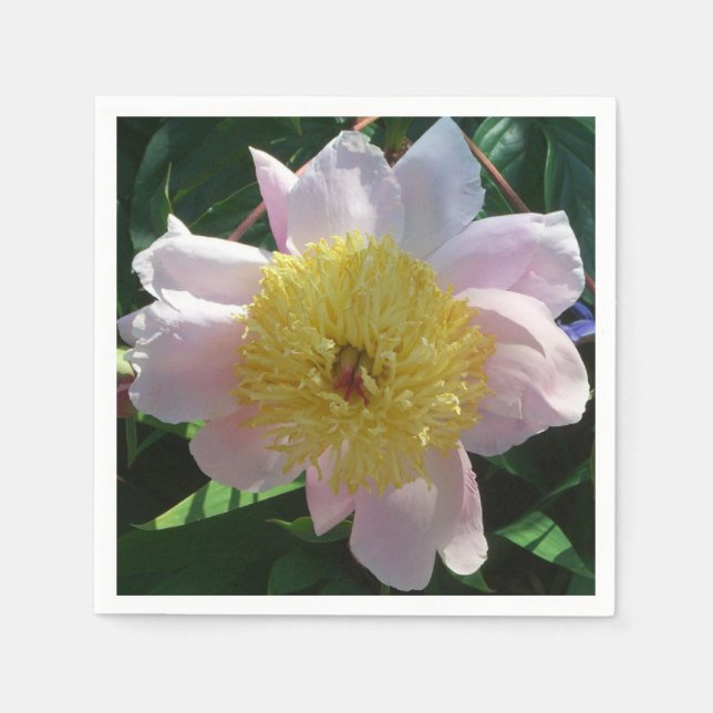 Pink and Yellow Peonies Beautiful Floral Napkins (Front)