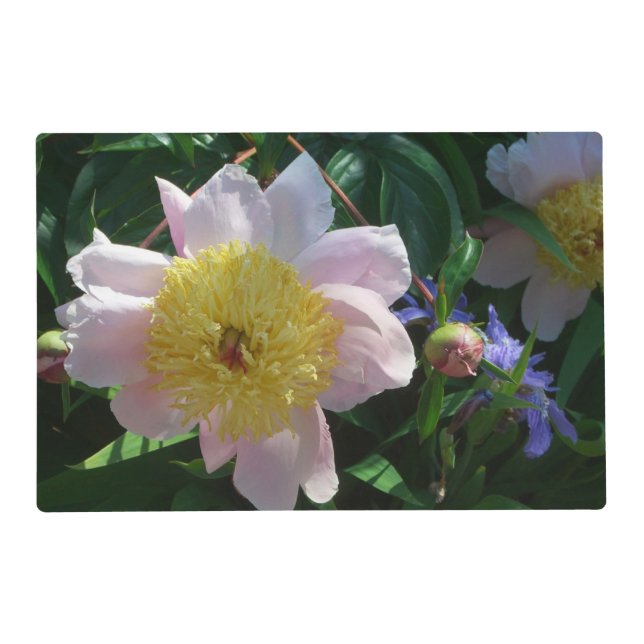 Pink and Yellow Peonies Beautiful Floral Placemat (Front)
