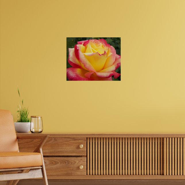 Pink and Yellow Rose Floral Poster (Living Room 2)