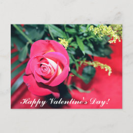 PINK AND YELLOW ROSE VALENTINES DAY POSTCARD