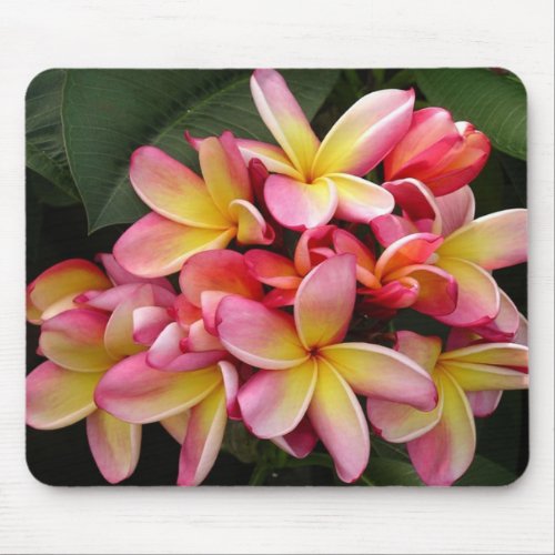 Pink and Yellow Tropical Plumeria Flowers Mouse Pad