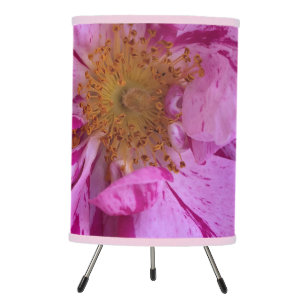 Pink and Yellow Varigated Camellia Flower Lamp