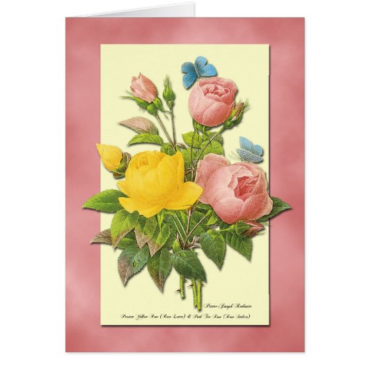 Pink and Yellow Vintage Roses Blank Art Card (Front)